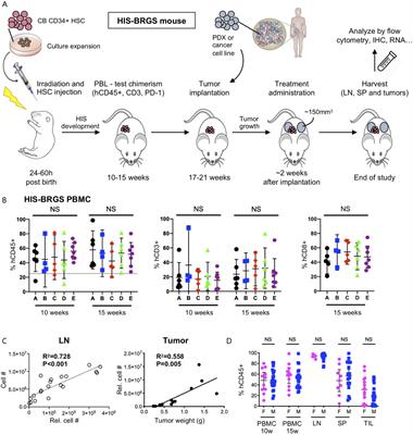 Testing Cancer Immunotherapy in a Human Immune System Mouse Model: Correlating Treatment Responses to Human Chimerism, Therapeutic Variables and Immune Cell Phenotypes